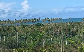Condomínio Lírios Paraíso de Paz e Beleza